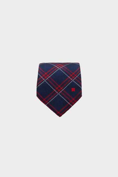 Purificacion Garci Men Navy/Red/White Ties Windowpane Chequered Silk Tie