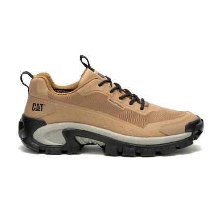 Unisex Intruder Lightning Mesh Waterproof Sneaker Cat Unisex Chunky Sneakers Tigers Eye