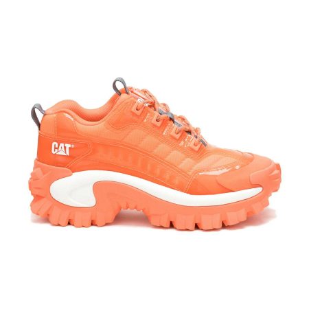 Unisex Unisex Intruder Ignite Sneaker Fiery Coral Chunky Sneakers Cat