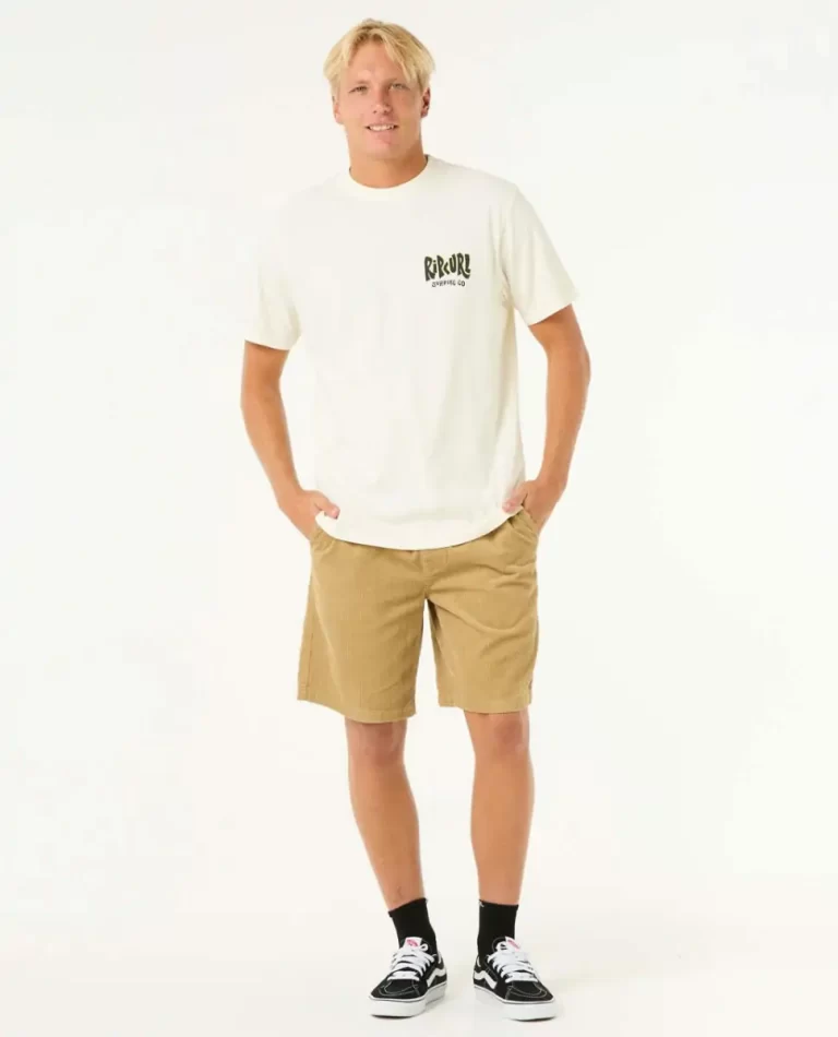 Mens Tees & Tanks Rip Curl Shield Tee - Image 4