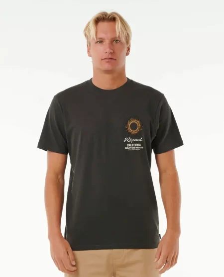 Rip Curl Mens Tees & Tanks Sunset Desto Tee
