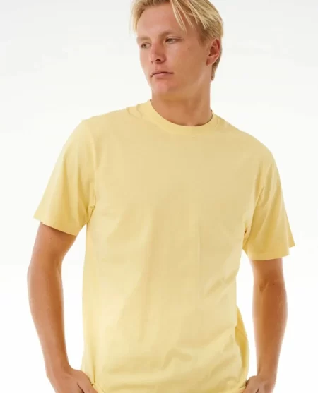 Rip Curl Tees & Tanks Plain Wash Tee Mens