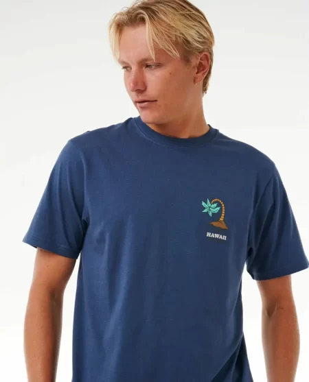 Rip Curl Wish You Were Here Desto Tee Tees & Tanks Mens