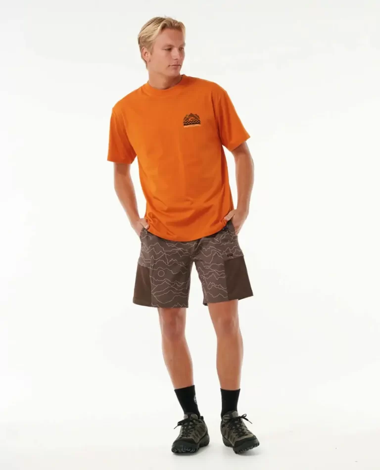 Search Cargo 19" Volley Boardwalk Rip Curl Shorts Mens - Image 5