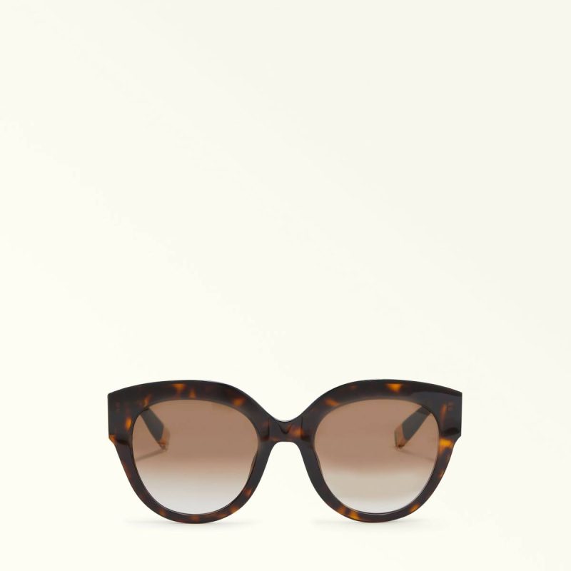 Sunglasses Women Furla Sunglasses Dark Havana+Nero