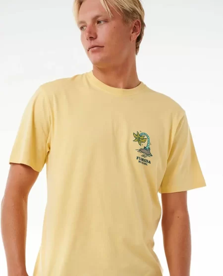 Tees & Tanks Rip Curl Wish You Were Here Desto Tee Mens
